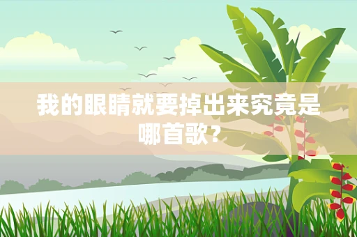 我的眼睛就要掉出来究竟是哪首歌？