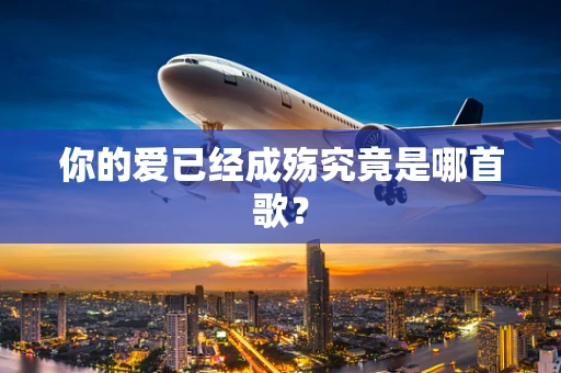 你的爱已经成殇究竟是哪首歌？