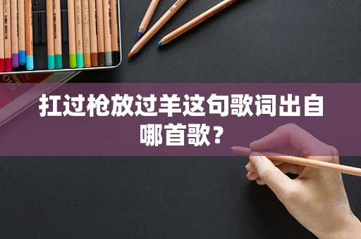 扛过枪放过羊这句歌词出自哪首歌？