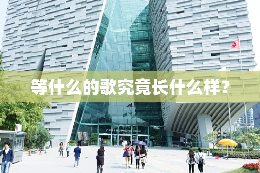 等什么的歌究竟长什么样？