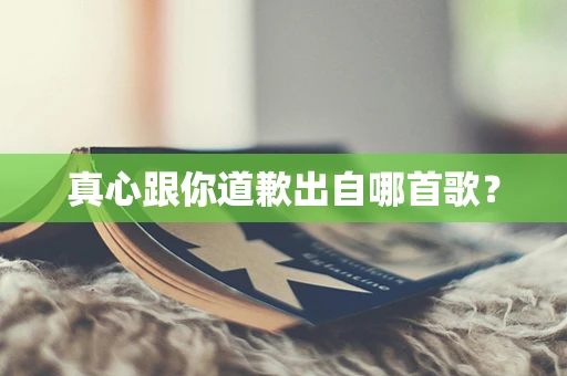 真心跟你道歉出自哪首歌？