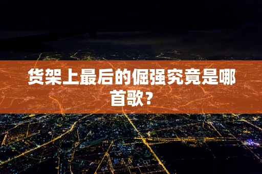 货架上最后的倔强究竟是哪首歌？