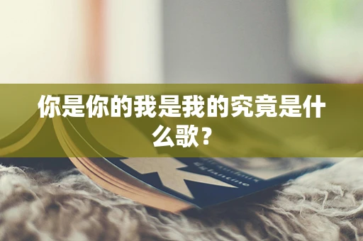 你是你的我是我的究竟是什么歌？