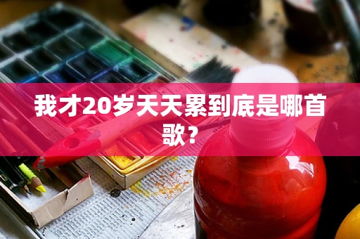 我才20岁天天累到底是哪首歌？