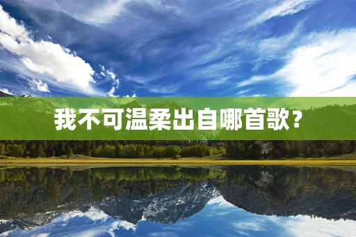 我不可温柔出自哪首歌？