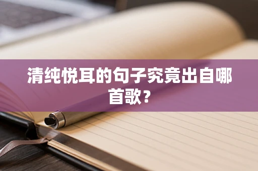 清纯悦耳的句子究竟出自哪首歌？