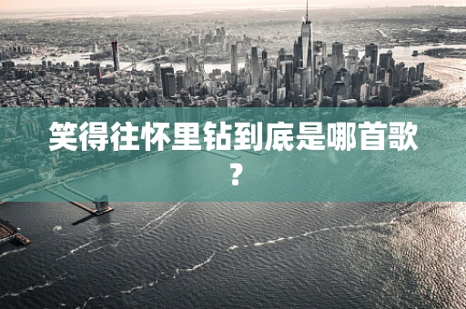 笑得往怀里钻到底是哪首歌？