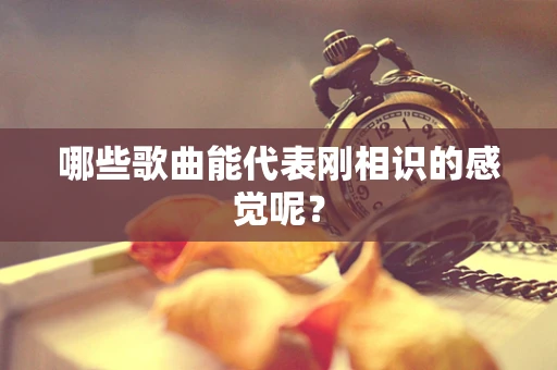 哪些歌曲能代表刚相识的感觉呢？