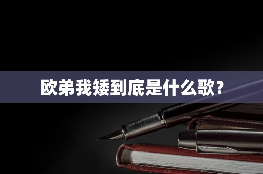 欧弟我矮到底是什么歌？
