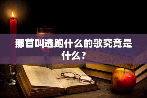 那首叫逃跑什么的歌究竟是什么？