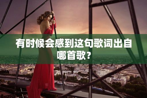 有时候会感到这句歌词出自哪首歌？