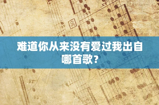 难道你从来没有爱过我出自哪首歌？