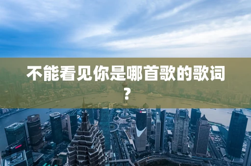 不能看见你是哪首歌的歌词？