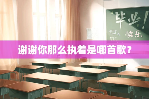 谢谢你那么执着是哪首歌？