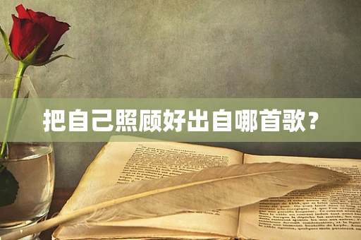 把自己照顾好出自哪首歌？