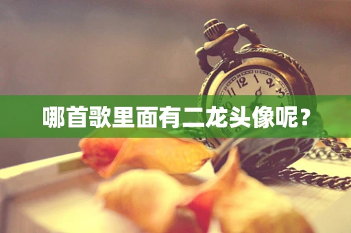 哪首歌里面有二龙头像呢？