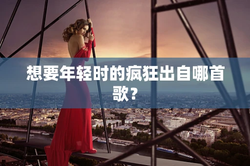 想要年轻时的疯狂出自哪首歌？