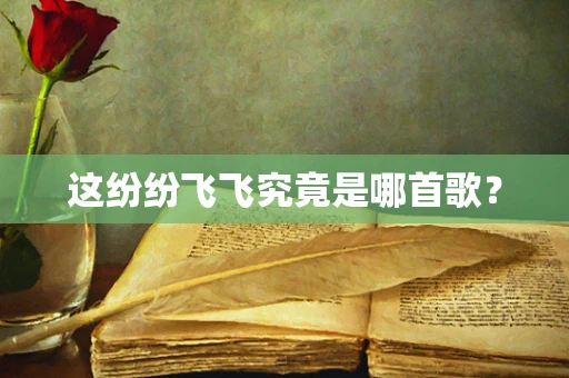这纷纷飞飞究竟是哪首歌？