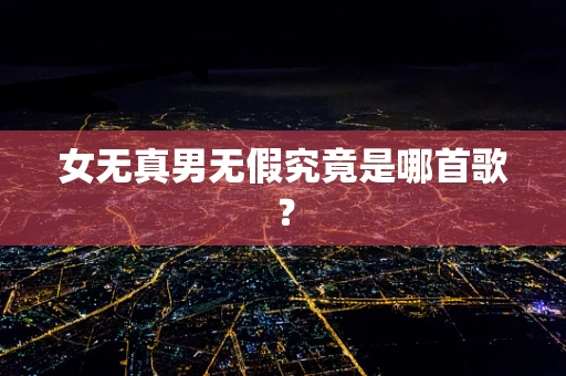 女无真男无假究竟是哪首歌？