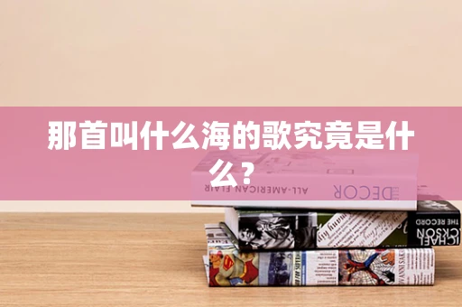 那首叫什么海的歌究竟是什么？