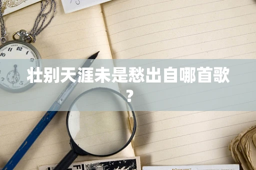 壮别天涯未是愁出自哪首歌？