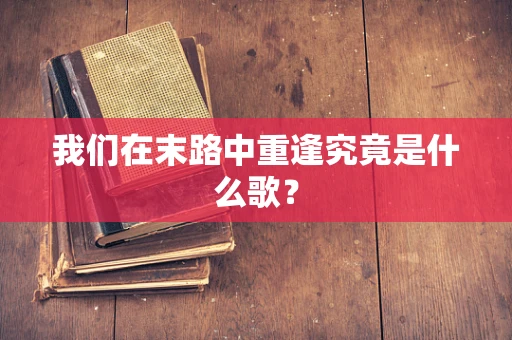 我们在末路中重逢究竟是什么歌？