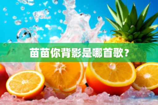 苗苗你背影是哪首歌？
