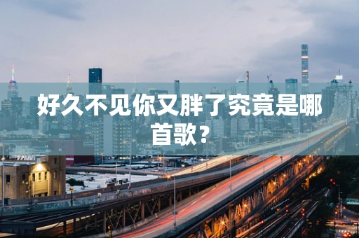 好久不见你又胖了究竟是哪首歌？