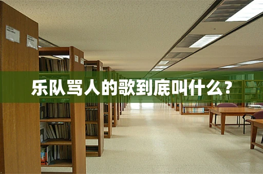 乐队骂人的歌到底叫什么？