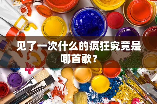 见了一次什么的疯狂究竟是哪首歌？