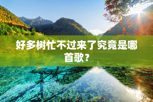 好多树忙不过来了究竟是哪首歌？