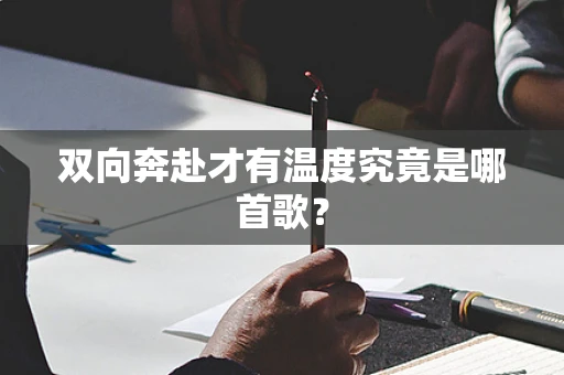 双向奔赴才有温度究竟是哪首歌？