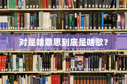 对是啥意思到底是啥歌？