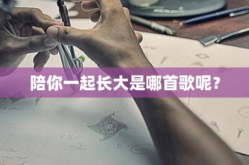 陪你一起长大是哪首歌呢？