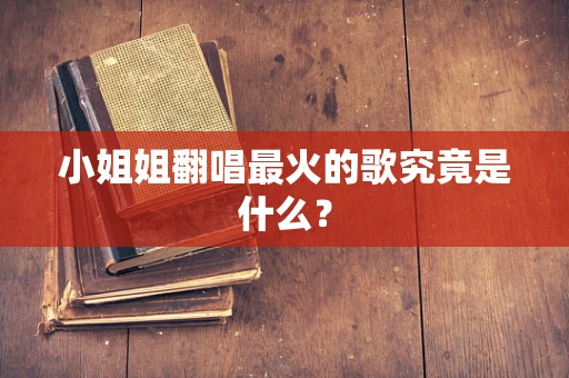 小姐姐翻唱最火的歌究竟是什么？
