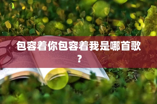 包容着你包容着我是哪首歌？
