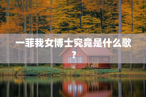 一菲我女博士究竟是什么歌？