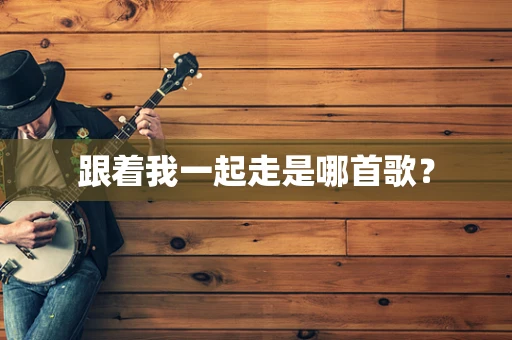跟着我一起走是哪首歌？