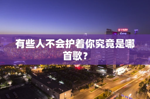 有些人不会护着你究竟是哪首歌？