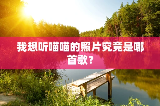 我想听喵喵的照片究竟是哪首歌？