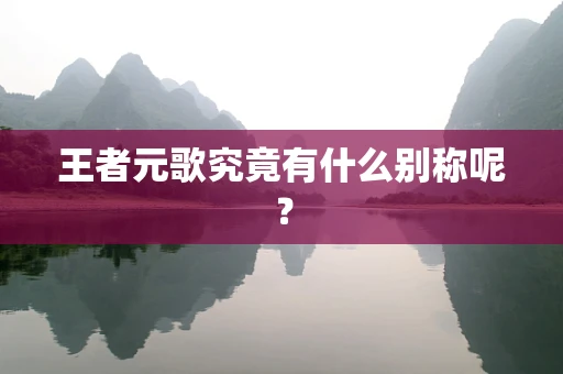 王者元歌究竟有什么别称呢？
