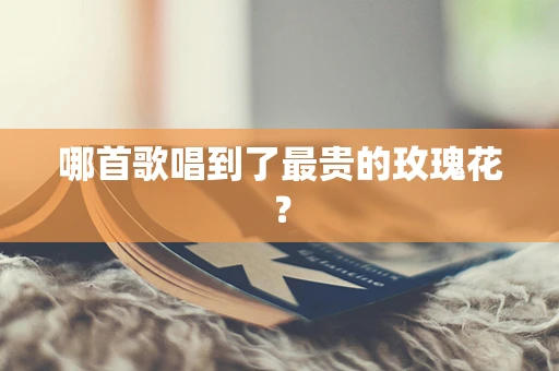 哪首歌唱到了最贵的玫瑰花？