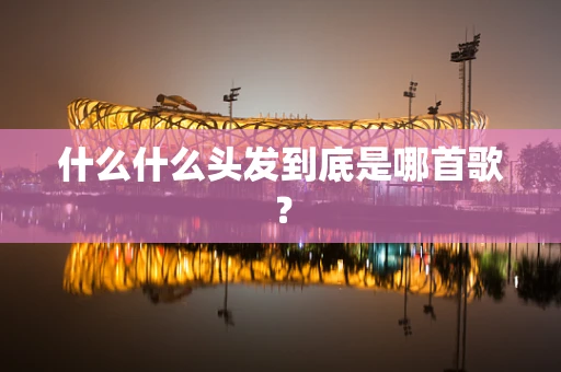 什么什么头发到底是哪首歌？