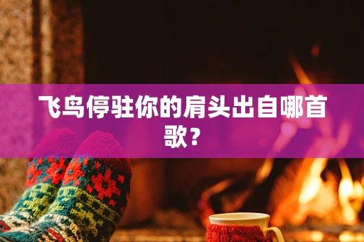 飞鸟停驻你的肩头出自哪首歌？