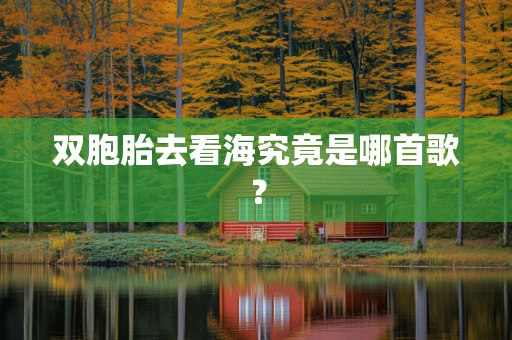 双胞胎去看海究竟是哪首歌？
