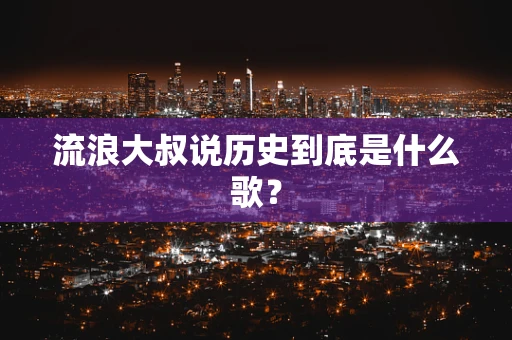 流浪大叔说历史到底是什么歌？