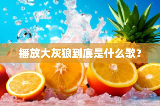 播放大灰狼到底是什么歌？