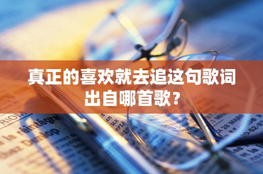 真正的喜欢就去追这句歌词出自哪首歌？