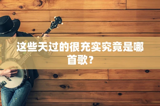 这些天过的很充实究竟是哪首歌？