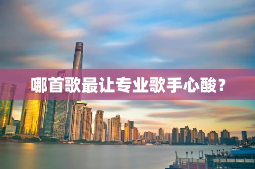 哪首歌最让专业歌手心酸？
